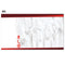 B90Z Goodie Bag • Business Card Passes - Get Students